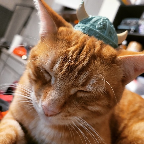 nettjett